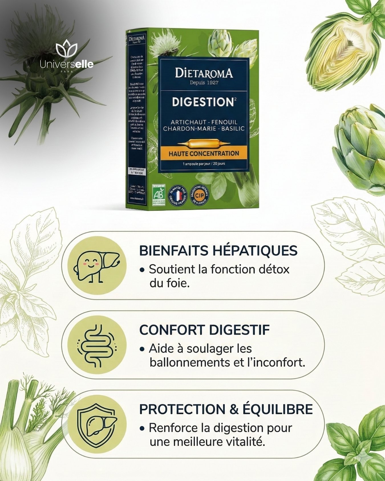 Ampoules Digestion & Détox Foie BIO - Dietaroma Digestion² (Cure 20 Jours) - Artichaut & Chardon-Marie